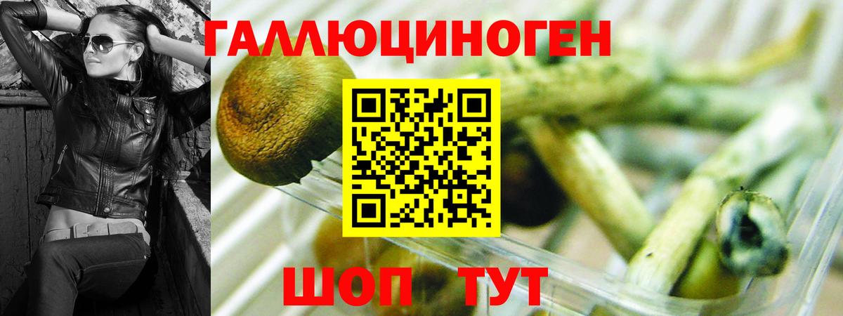 Псилоцибиновые грибы MAGIC MUSHROOMS  Вход с VPN  Подольск 